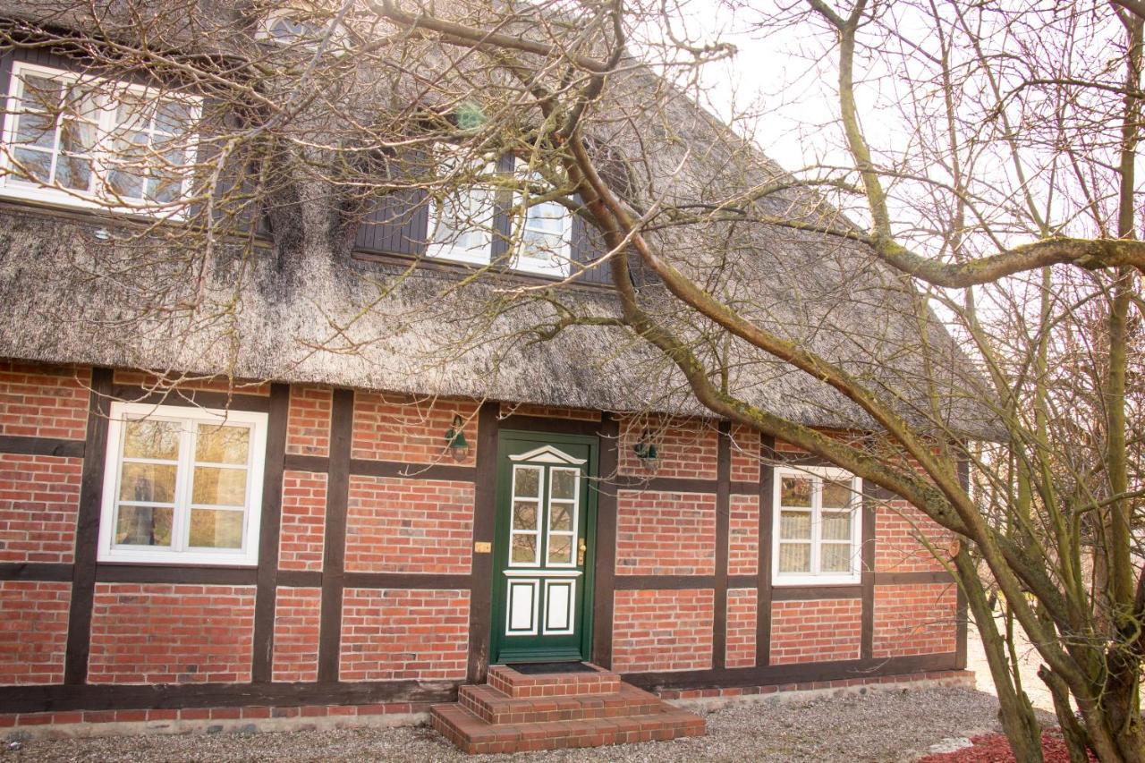 Reet Und Meer Beckerwitz Hohenkirchen  エクステリア 写真