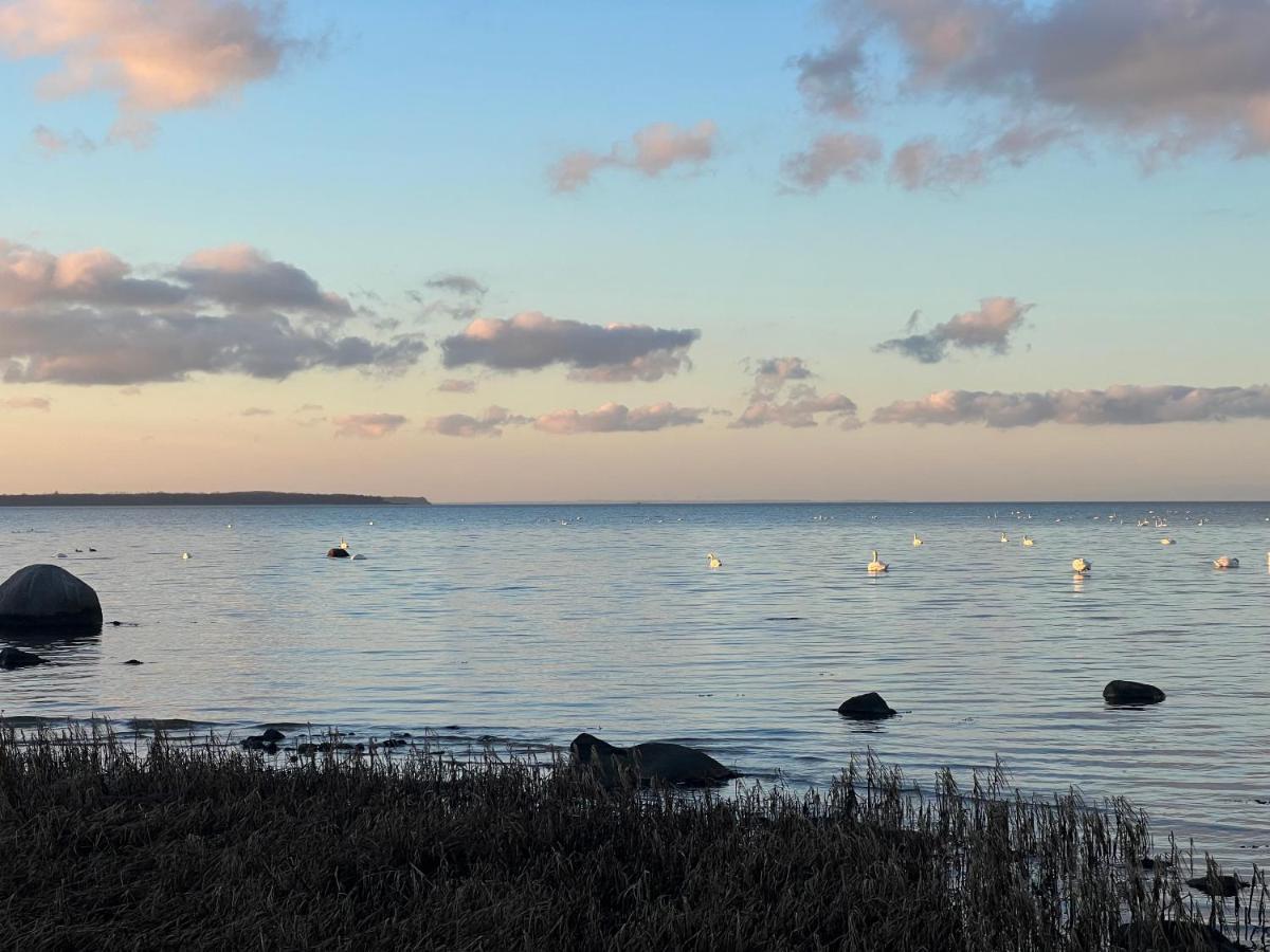 Reet Und Meer Beckerwitz Hohenkirchen  エクステリア 写真
