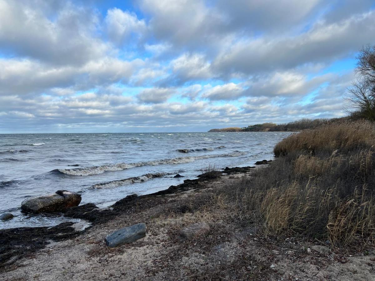 Reet Und Meer Beckerwitz Hohenkirchen  エクステリア 写真