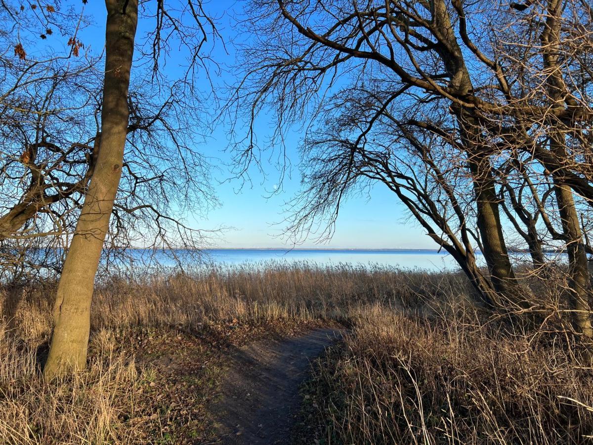 Reet Und Meer Beckerwitz Hohenkirchen  エクステリア 写真