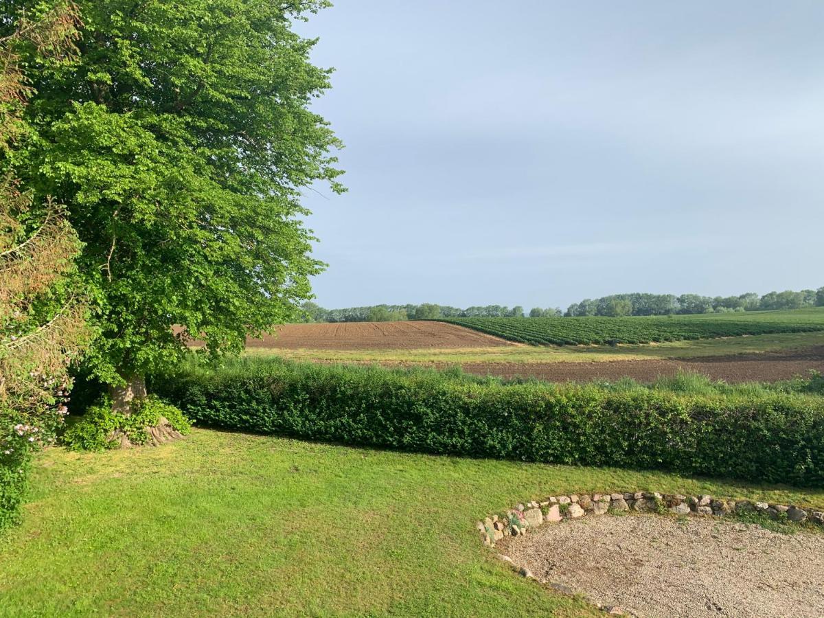Reet Und Meer Beckerwitz Hohenkirchen  エクステリア 写真